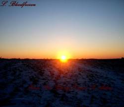 From the Bloody Origin to Ashes